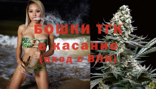 дживик Аркадак