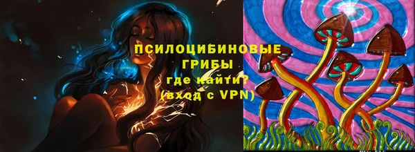 Альфа ПВП Армянск