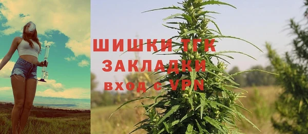 дживик Аркадак