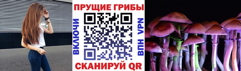 Псилоцибиновые грибы MAGIC MUSHROOMS  Барабинск 